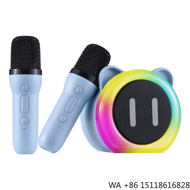 Outdoor Lighting For Garden - Karaoke Machine with 2 Wireless Microphones